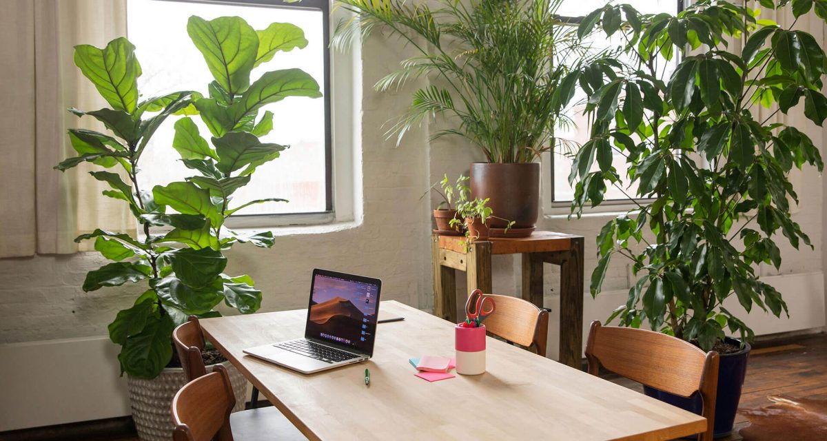 How Flexible Workspaces Help You Productive