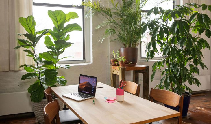 Deskly